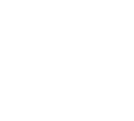 linea-vertical