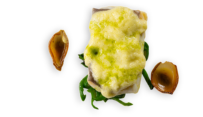 bacalao