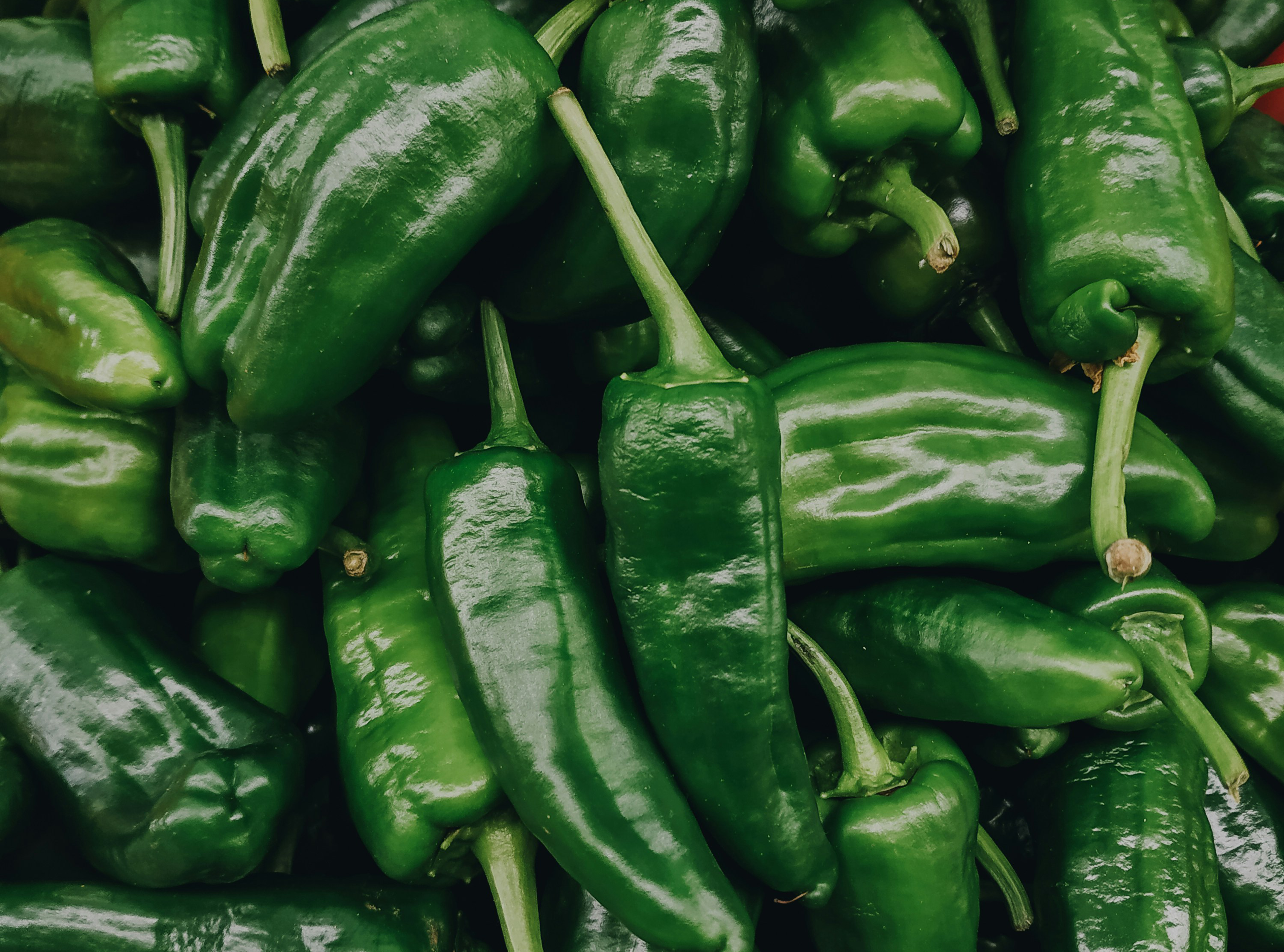 Pimientos de Gernika, del campo Vasco a tu plato